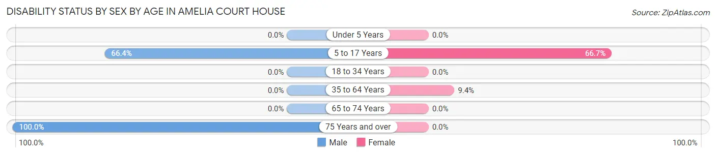 Disability Status by Sex by Age in Amelia Court House