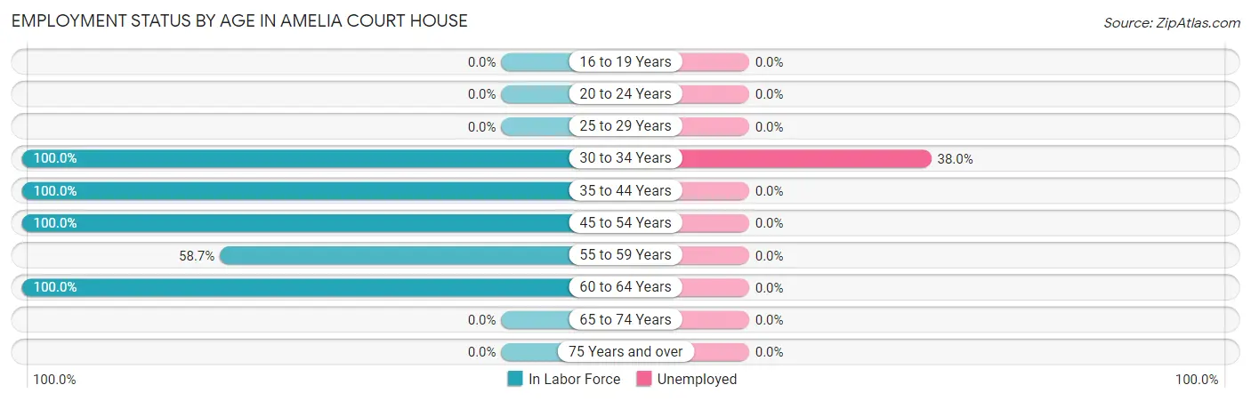 Employment Status by Age in Amelia Court House