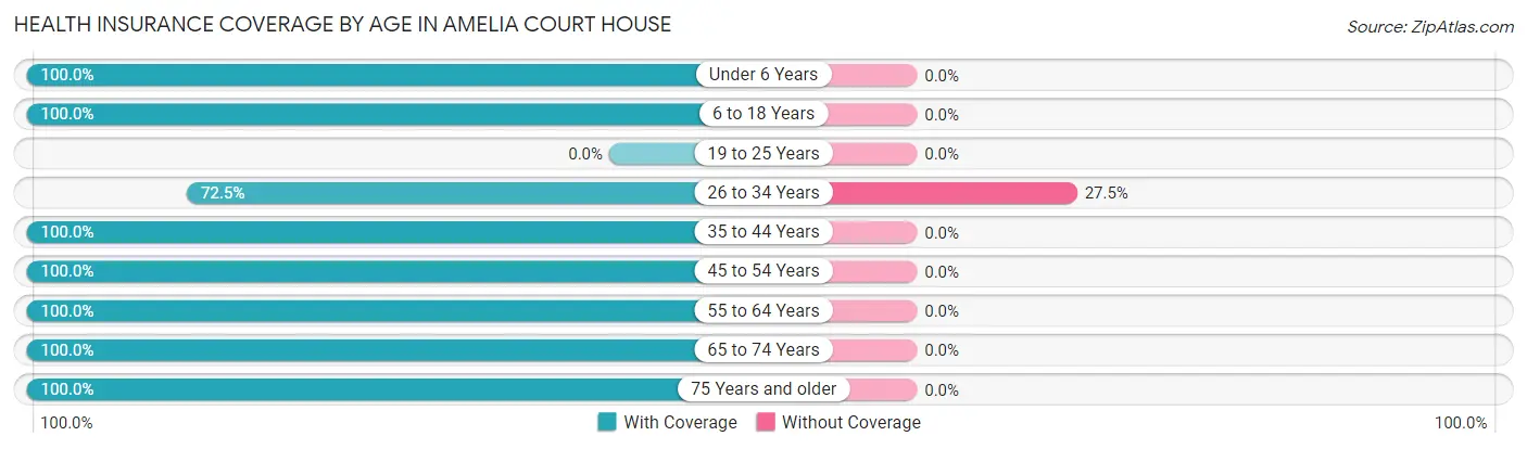 Health Insurance Coverage by Age in Amelia Court House