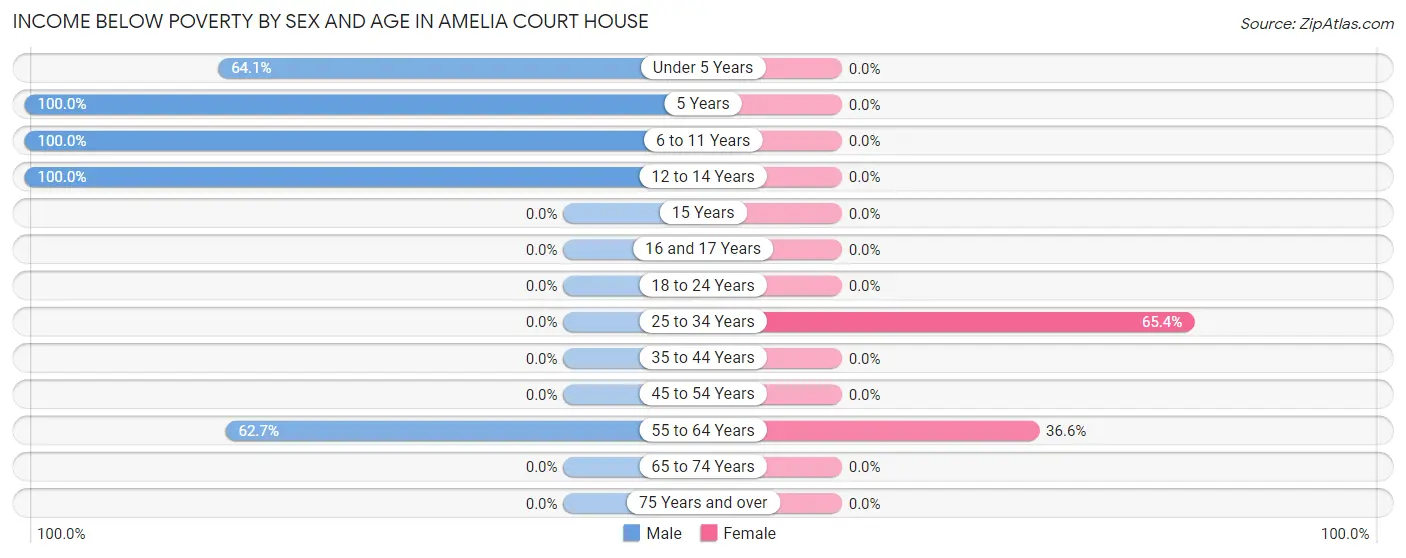 Income Below Poverty by Sex and Age in Amelia Court House