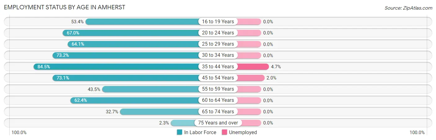 Employment Status by Age in Amherst