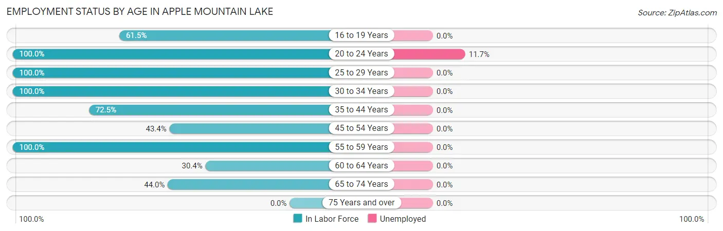 Employment Status by Age in Apple Mountain Lake