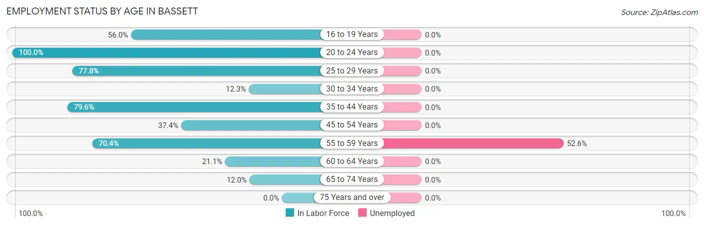 Employment Status by Age in Bassett