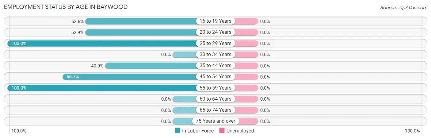 Employment Status by Age in Baywood