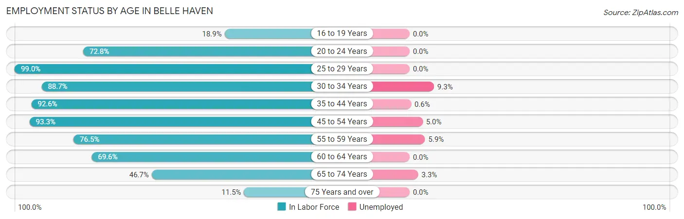 Employment Status by Age in Belle Haven