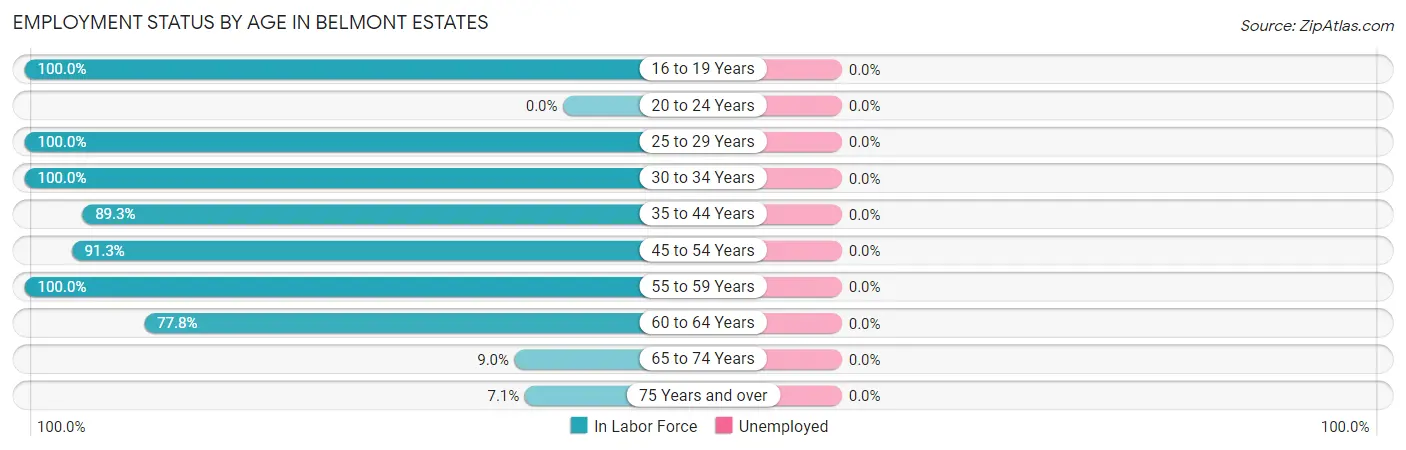 Employment Status by Age in Belmont Estates