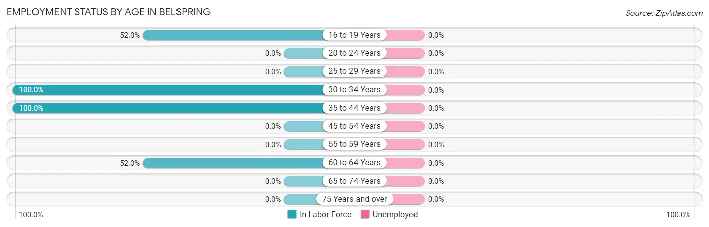 Employment Status by Age in Belspring