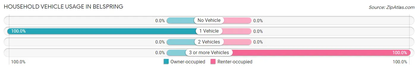 Household Vehicle Usage in Belspring