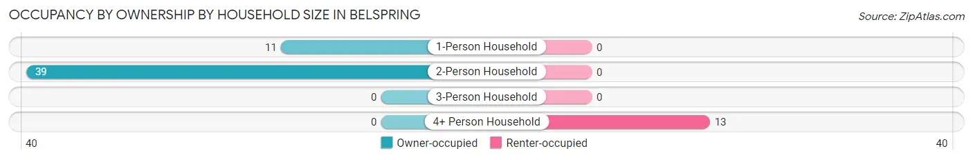 Occupancy by Ownership by Household Size in Belspring