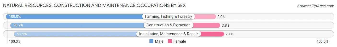 Natural Resources, Construction and Maintenance Occupations by Sex in Bensley