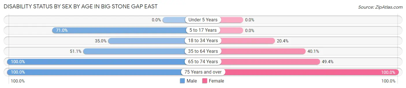 Disability Status by Sex by Age in Big Stone Gap East