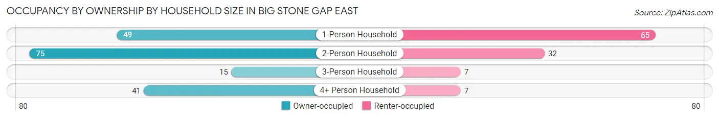 Occupancy by Ownership by Household Size in Big Stone Gap East
