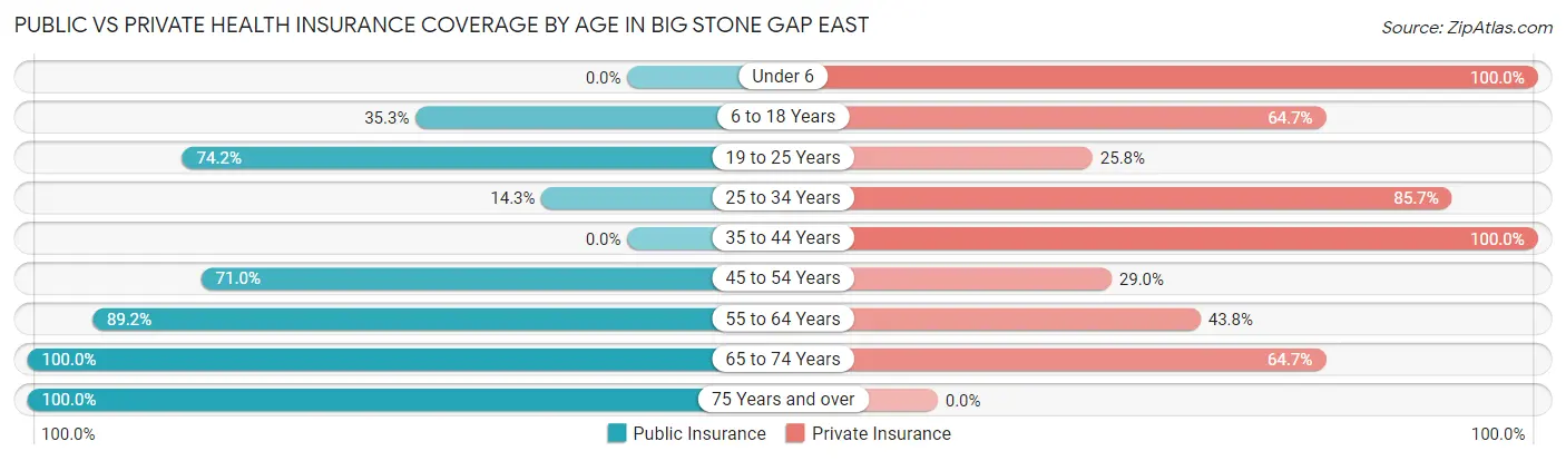 Public vs Private Health Insurance Coverage by Age in Big Stone Gap East