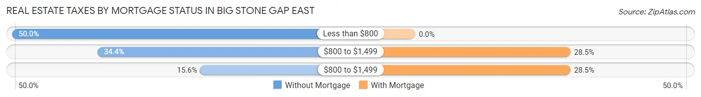 Real Estate Taxes by Mortgage Status in Big Stone Gap East