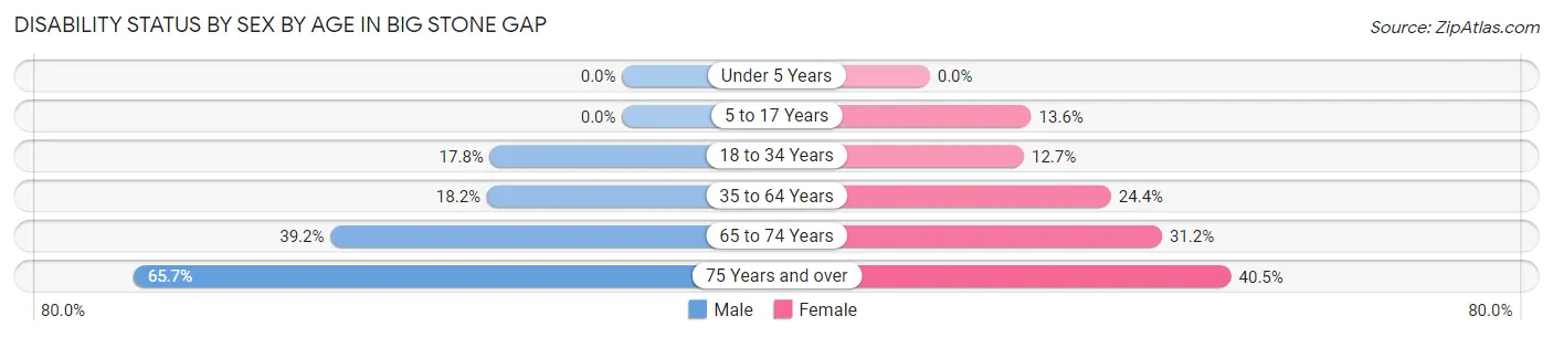 Disability Status by Sex by Age in Big Stone Gap
