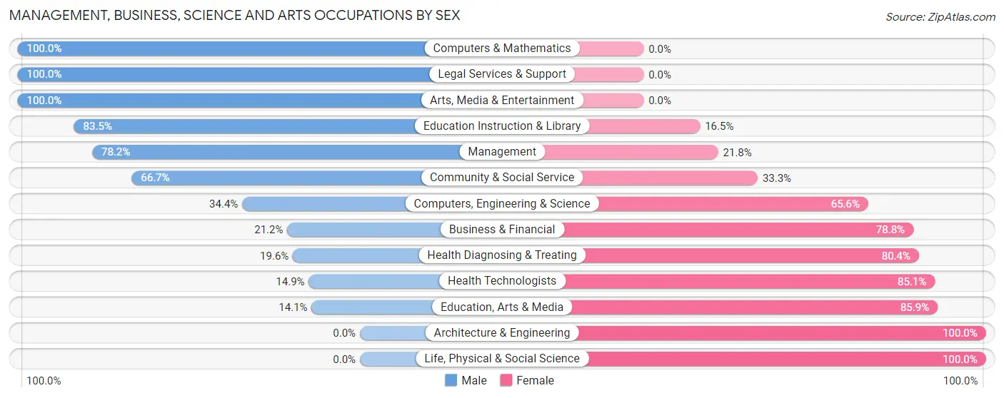 Management, Business, Science and Arts Occupations by Sex in Big Stone Gap