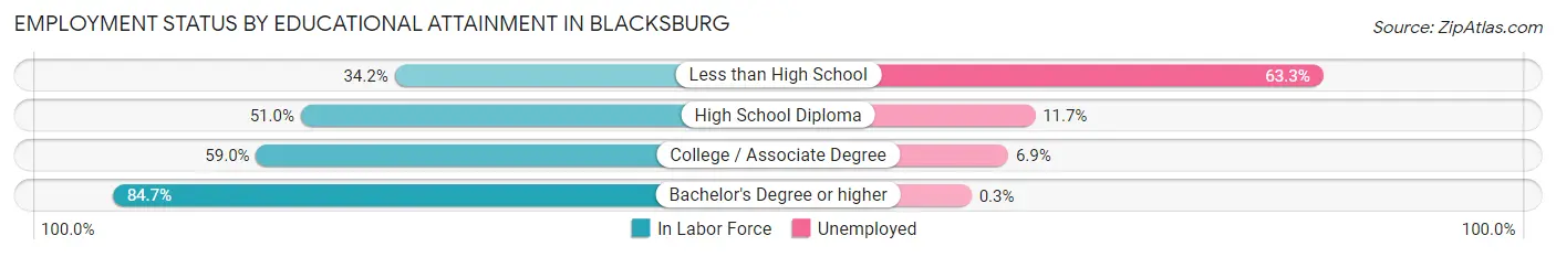 Employment Status by Educational Attainment in Blacksburg