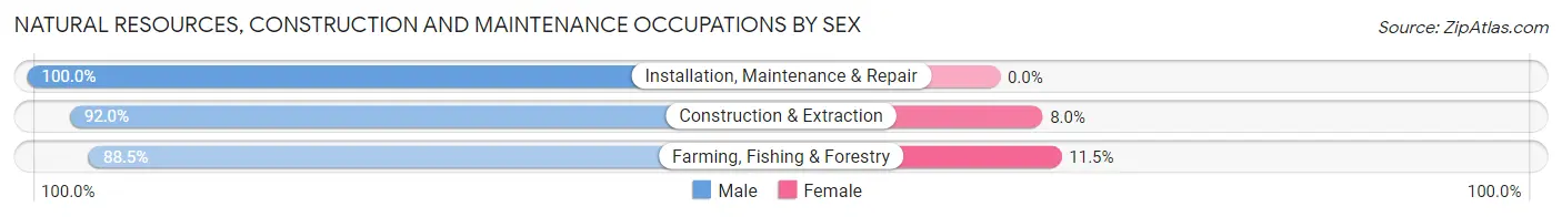 Natural Resources, Construction and Maintenance Occupations by Sex in Blacksburg