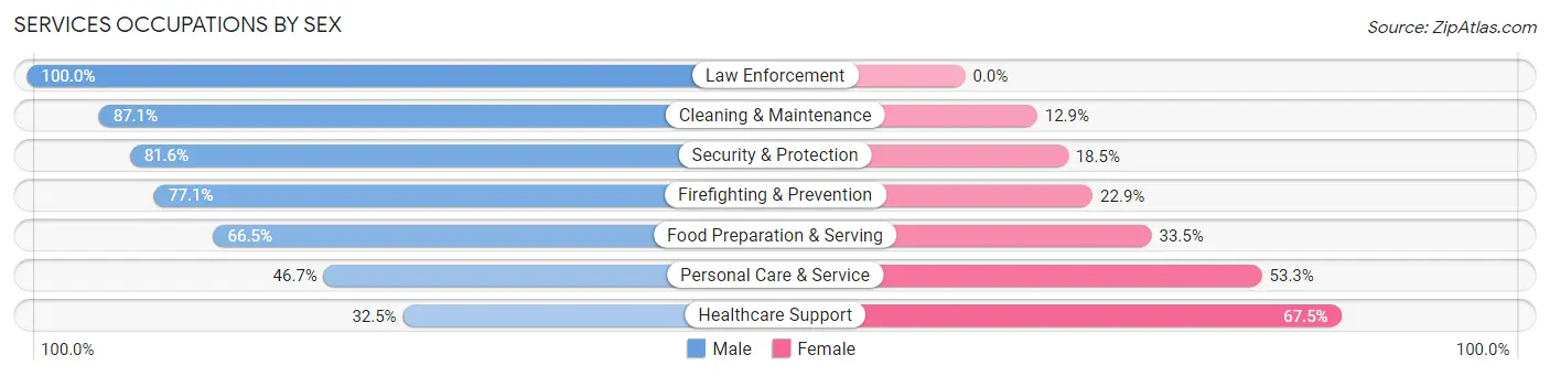 Services Occupations by Sex in Blacksburg
