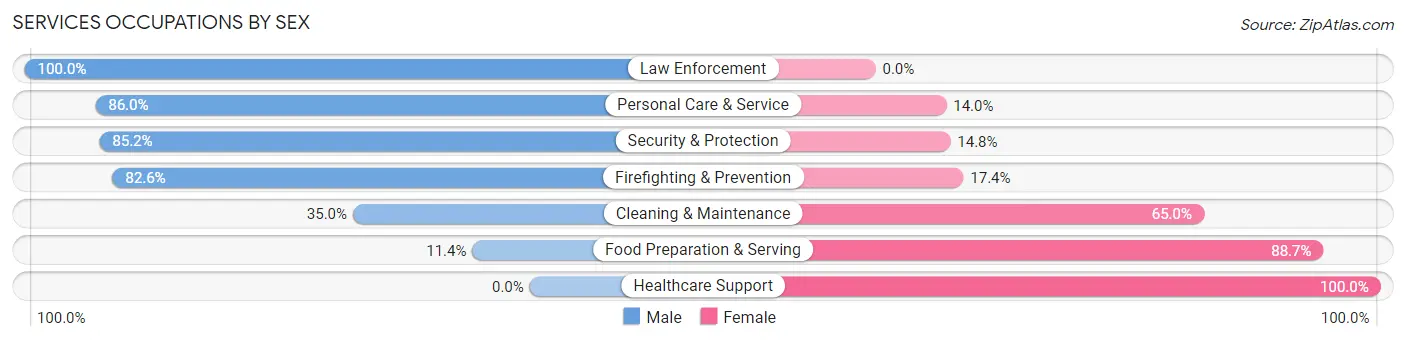 Services Occupations by Sex in Blackstone
