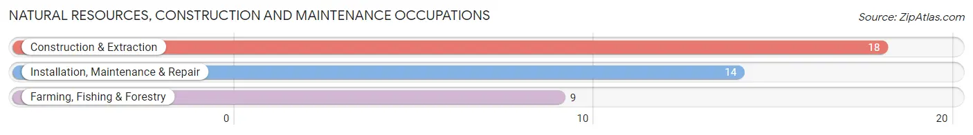 Natural Resources, Construction and Maintenance Occupations in Bloxom