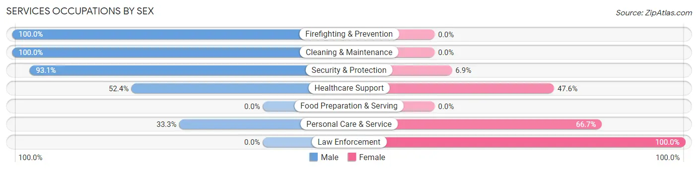 Services Occupations by Sex in Bloxom