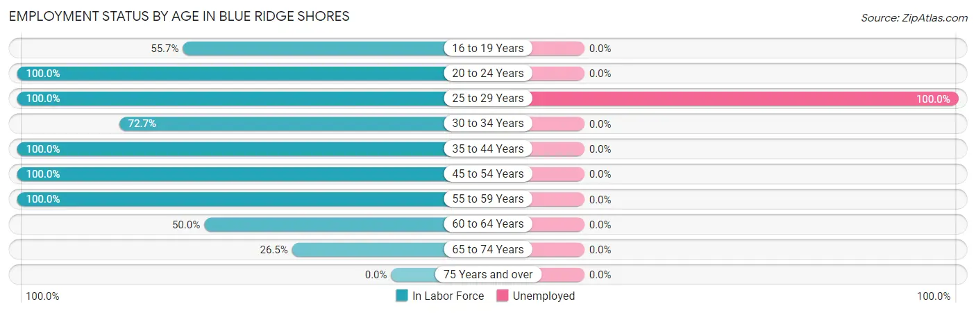 Employment Status by Age in Blue Ridge Shores