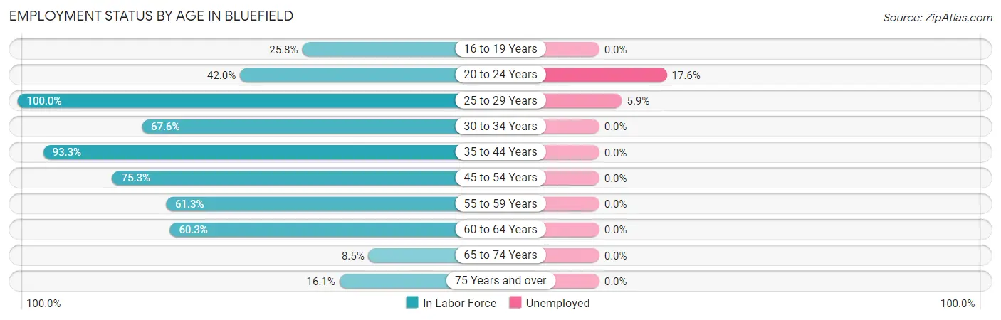 Employment Status by Age in Bluefield