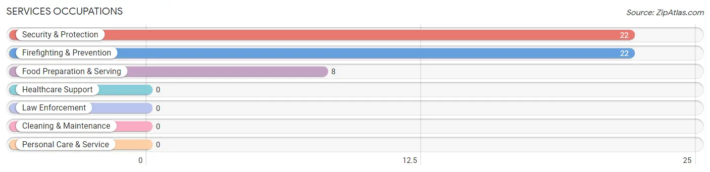 Services Occupations in Boston