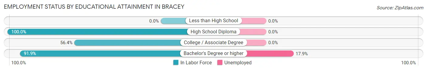 Employment Status by Educational Attainment in Bracey