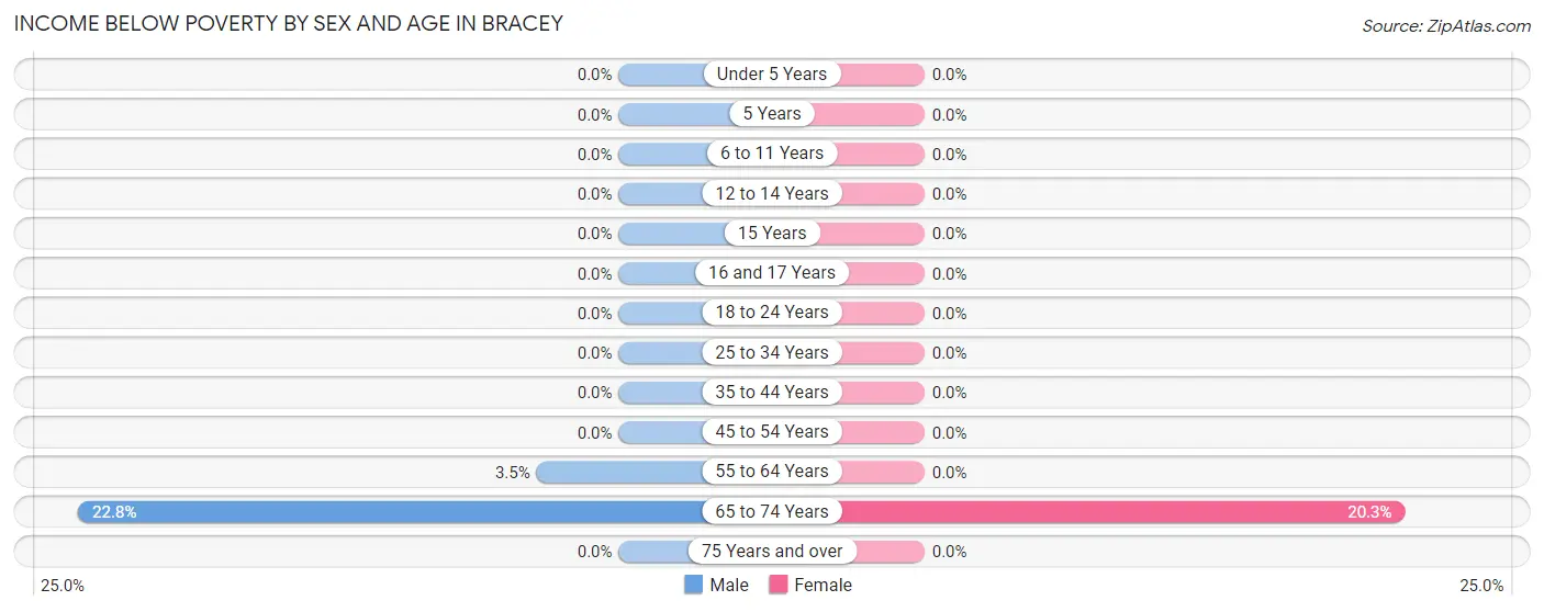 Income Below Poverty by Sex and Age in Bracey