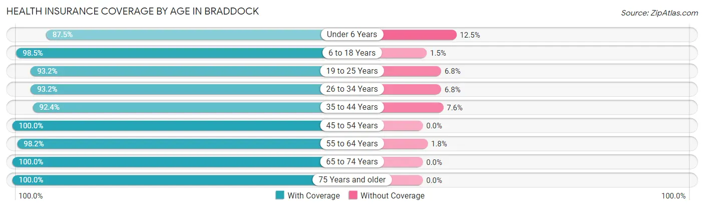 Health Insurance Coverage by Age in Braddock