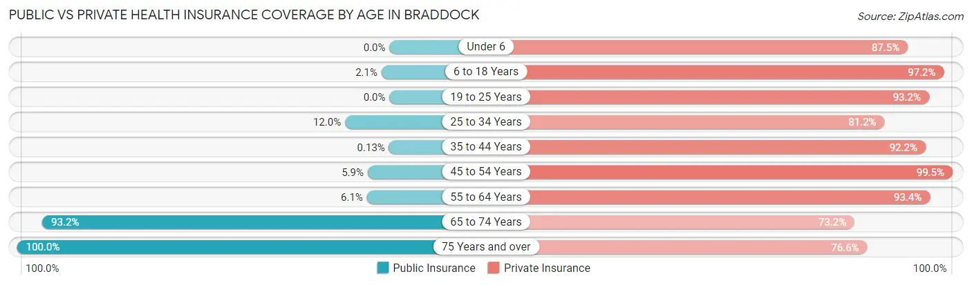 Public vs Private Health Insurance Coverage by Age in Braddock