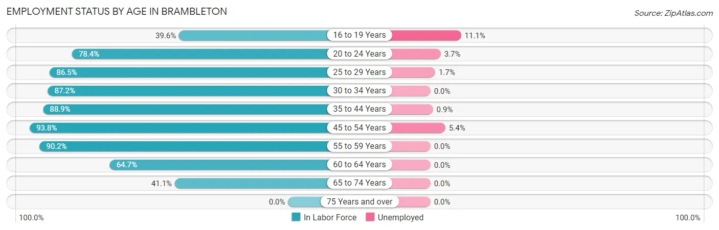 Employment Status by Age in Brambleton