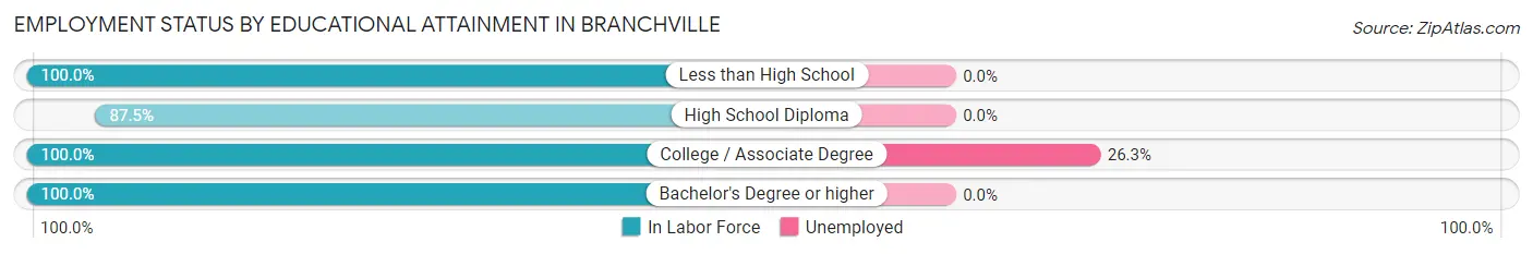 Employment Status by Educational Attainment in Branchville