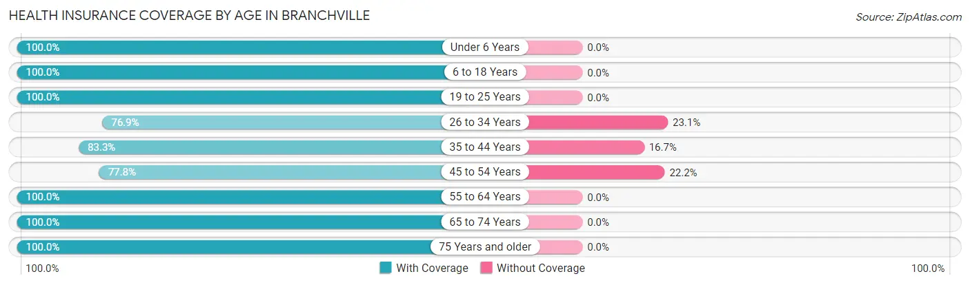 Health Insurance Coverage by Age in Branchville