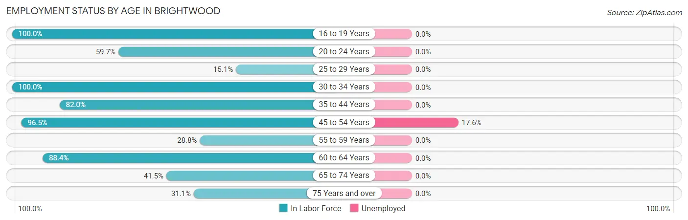 Employment Status by Age in Brightwood