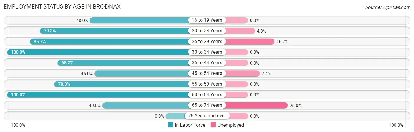 Employment Status by Age in Brodnax