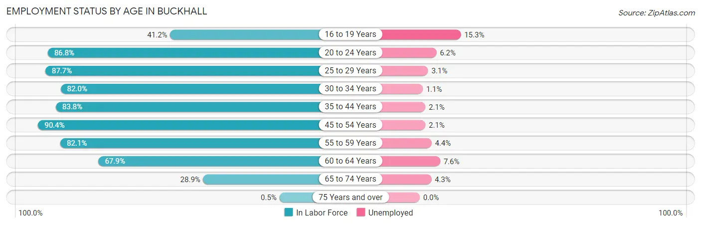 Employment Status by Age in Buckhall
