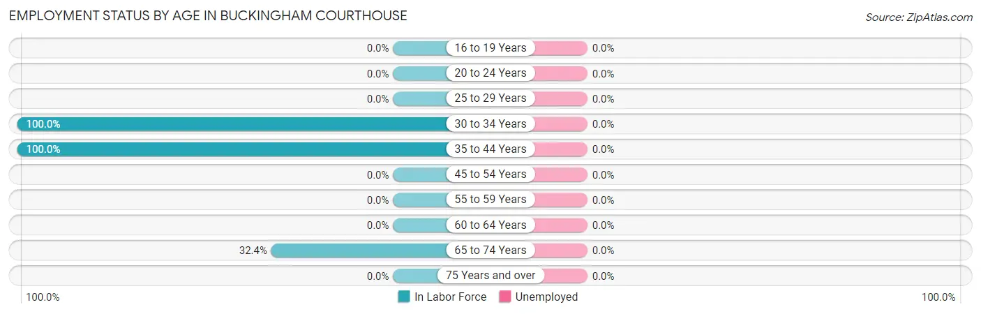 Employment Status by Age in Buckingham Courthouse