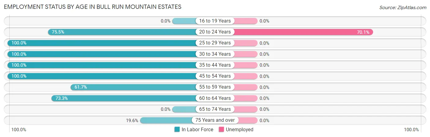 Employment Status by Age in Bull Run Mountain Estates