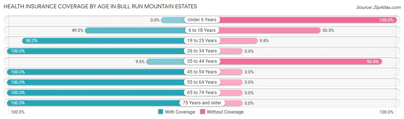 Health Insurance Coverage by Age in Bull Run Mountain Estates