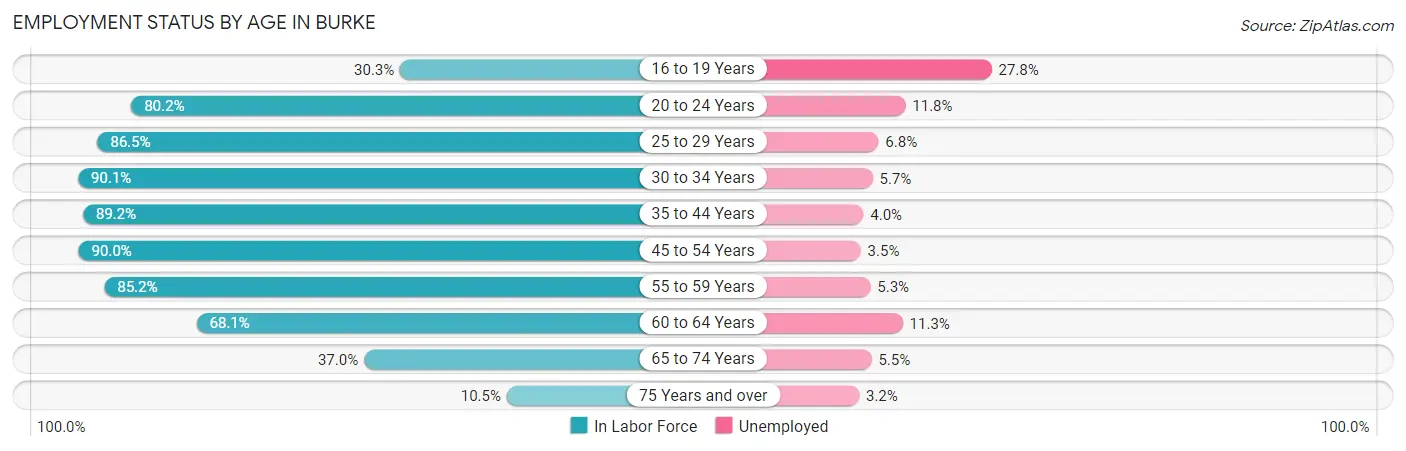 Employment Status by Age in Burke