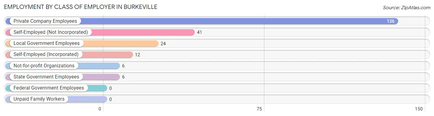 Employment by Class of Employer in Burkeville