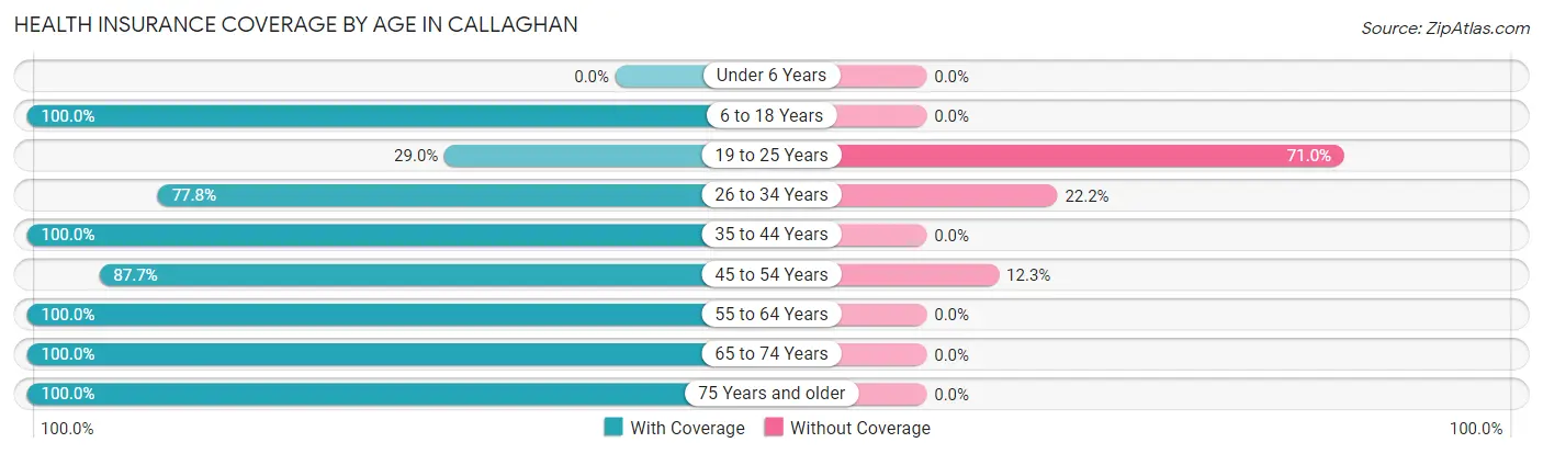 Health Insurance Coverage by Age in Callaghan