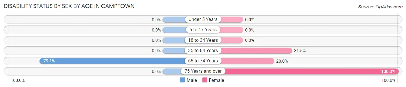 Disability Status by Sex by Age in Camptown