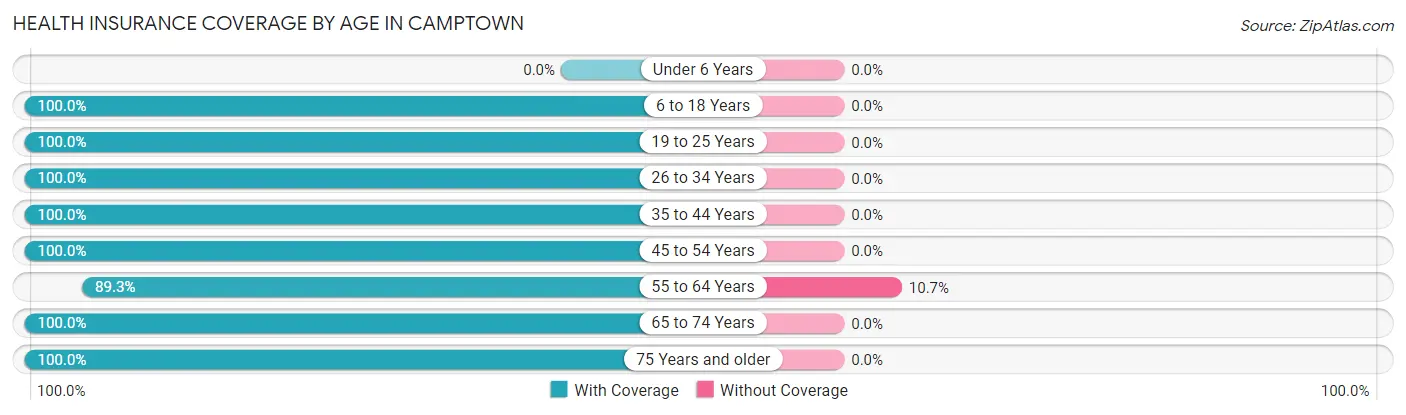 Health Insurance Coverage by Age in Camptown
