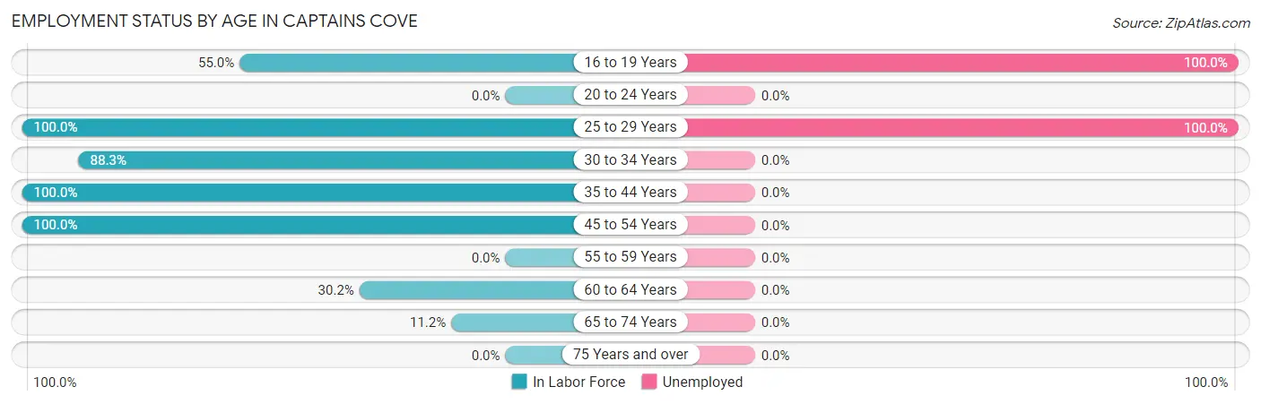 Employment Status by Age in Captains Cove