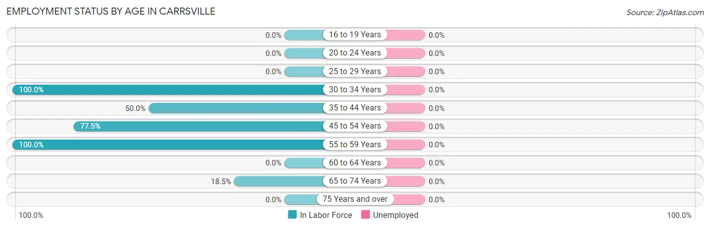 Employment Status by Age in Carrsville