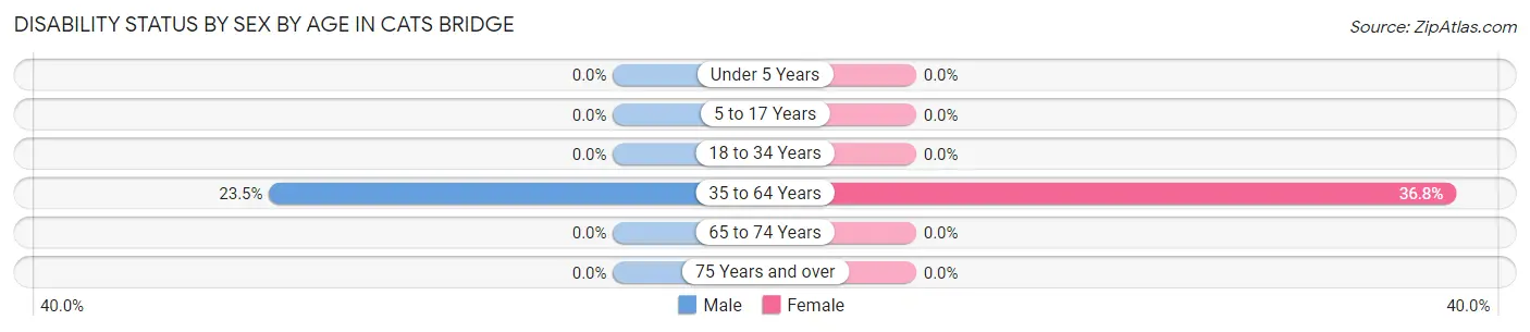 Disability Status by Sex by Age in Cats Bridge